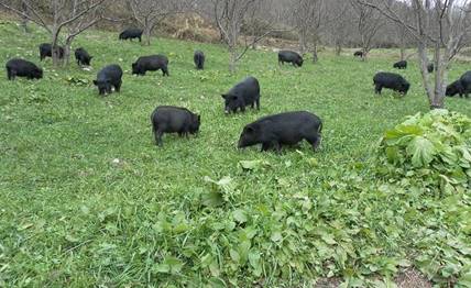 1515059653553991.jpg QQ截图20171228170415