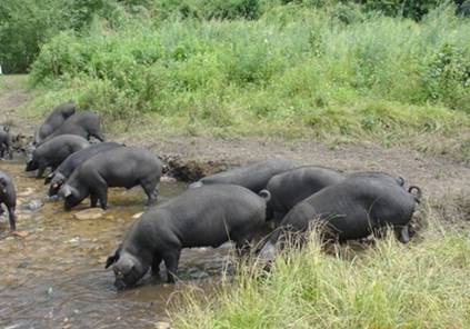 1515059662109309.jpg 005GQlZhzy73iXMliKi76&690