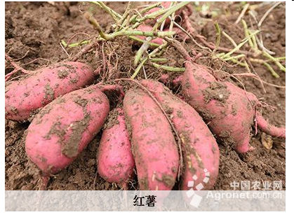 QQ图片20180118133006