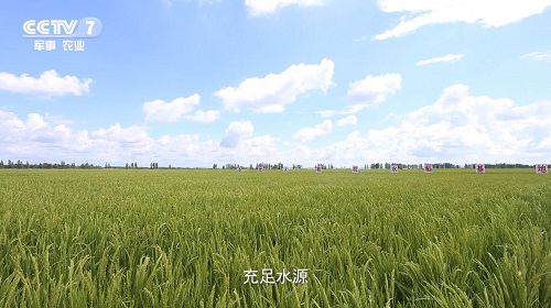 QQ截图20180228113540.jpg