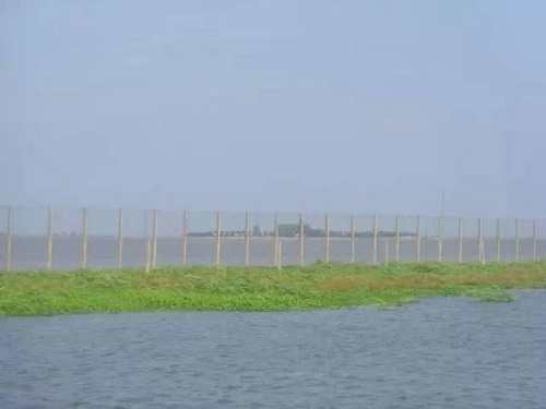 a8f8016abbe1ce78ca36232c9ef94f0e115987.jpg 图片4.jpg