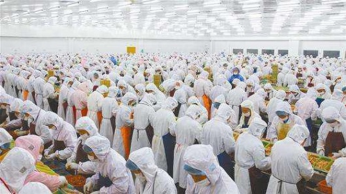 5871f4b11c5821ba12eddfccbaeaace4133200.jpg 图片7.jpg