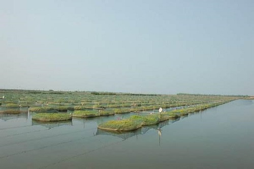 08b4cc28f22704261f6308b67c33876c125829.jpg 图片5.jpg