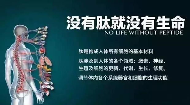 点击打开原图