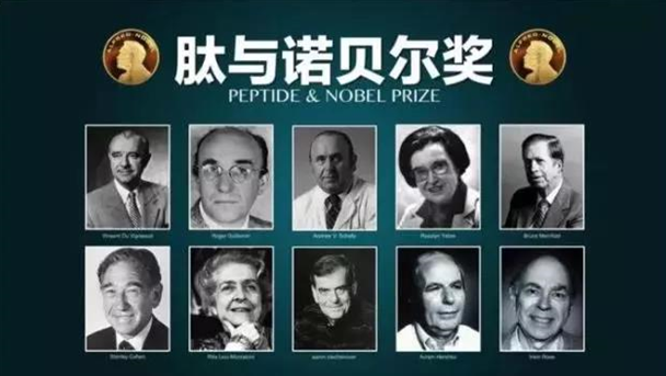 点击打开原图
