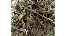 旱莲草提取物图1