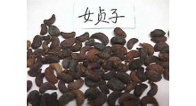 女贞子提取物图1