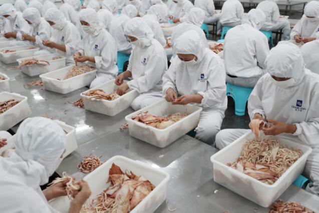 江苏连云港:海洋食品加工企业迎来产销旺季