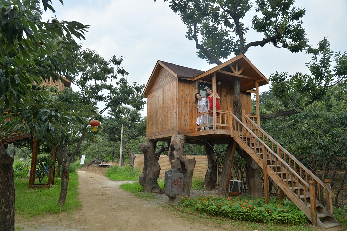 5b71728572d44.jpg 归巢部落-树上木屋.jpg