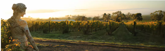 卓朴打造社交化红酒营销成功典范 滚动 第1张