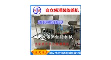 自立袋灌装旋盖机 袋装豆浆 酸奶牛奶灌装旋盖机厂家图2