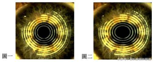 1527048412003dd1ec77732.jpg 1527048412003dd1ec77732.jpg