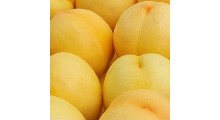 新品种桃苗_哪里有新品种桃苗优良品种_山东黑桃树苗图3