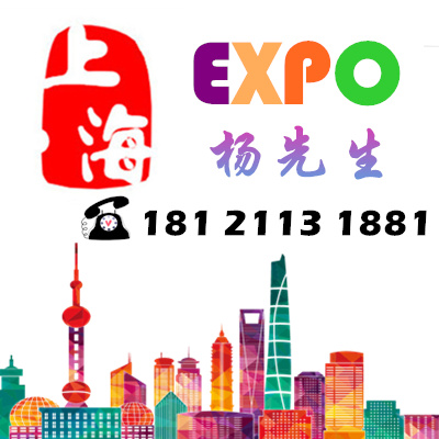上海EXPO.loog