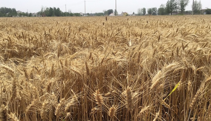 4f1473127c7e955b43ae93812390720a.jpg 4f1473127c7e955b43ae93812390720a.jpg