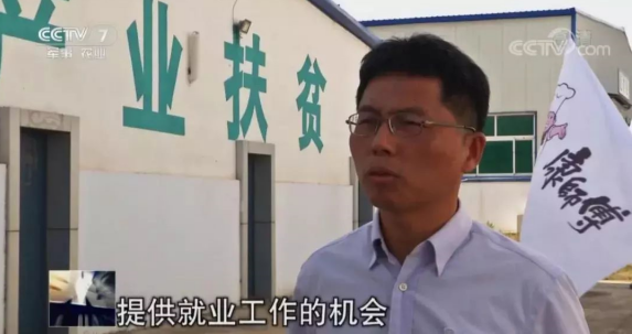 一袋方便面蔬菜包，撑起了这个县的一大产业-焦点中国网