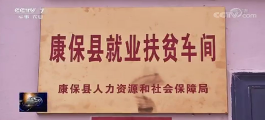 一袋方便面蔬菜包，撑起了这个县的一大产业-焦点中国网