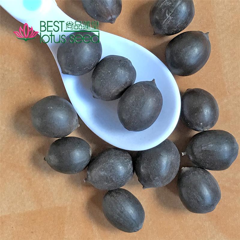 Black Iron Shell Lotus Seeds