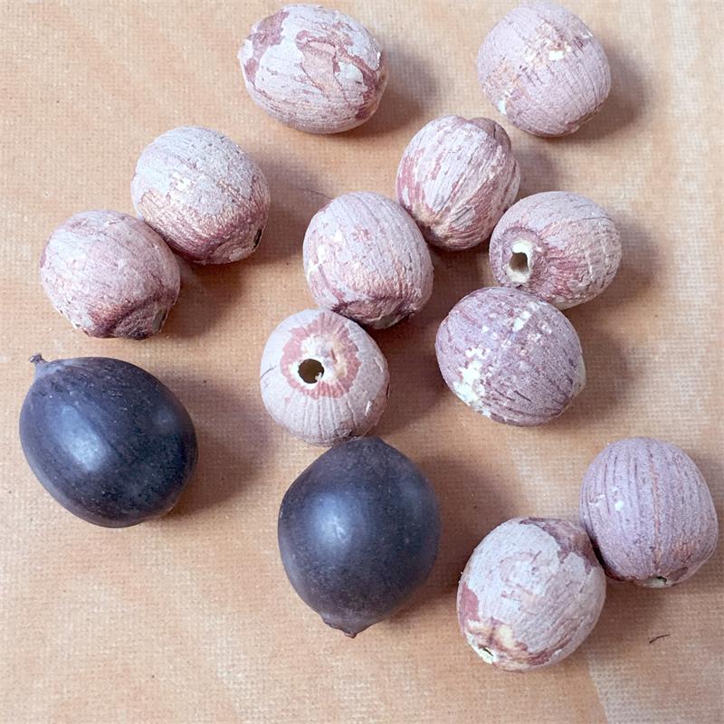 Red Lotus Seeds Nuts with Core Plumule