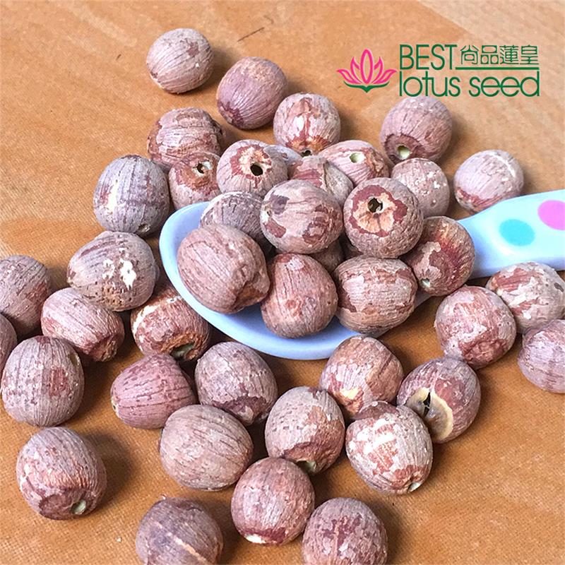 Red Lotus Seeds Nuts without Core Plumule