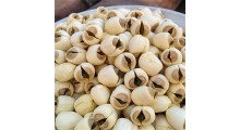 手工白莲子有芯带芯实心 圆粒湘莲寸三莲 尚品莲皇产地批发供应图2