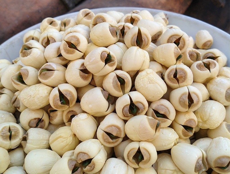 Handmade White Lotus Seeds without Core
