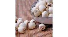 磨皮白莲子有芯带芯实心 湘莲寸三莲 尚品莲皇产地批发供应图2