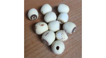 磨皮白莲子 去芯无心通心钻芯 湘莲寸三莲 尚品莲皇批发供应图2