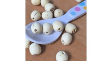 磨皮白莲子 去芯无心通心钻芯 湘莲寸三莲 尚品莲皇批发供应图3