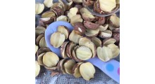 红莲子半边开边莲子 湘莲寸三莲 尚品莲皇产地批发供应图2