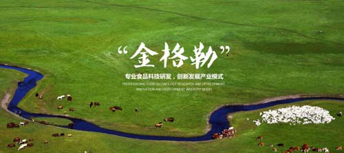 图片2.jpg 图片2.jpg