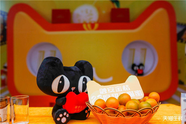 1541669029484383.jpg 图片8.jpg