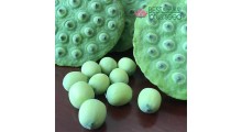 新鲜莲蓬 嫩水果莲子 草莲子老莲子 湘莲 尚品莲皇批发供应图1