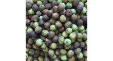 水果莲子 草莲子老莲子麻莲子 湘莲寸三莲 尚品莲皇批发供应图3
