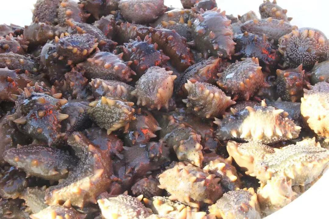 1544495485912477.jpg 微信图片_20181211100740.jpg