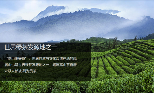 1546069725772632.png image.png