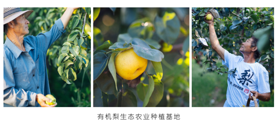 1548036512307407.png image.png