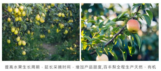 1548036503368972.png image.png