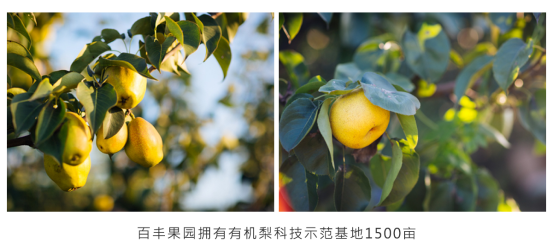 1548036515470469.png image.png