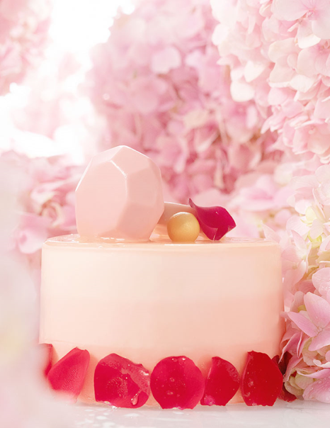 1548905994623021717.png 1.png