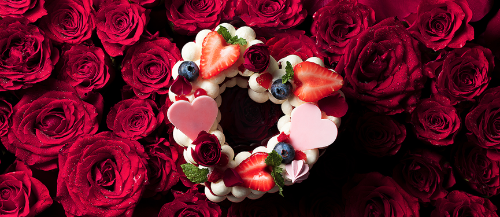 1550628757597002461.png 4.png