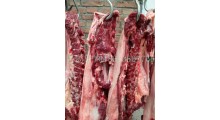 供应新鲜驴肉驴腿肉驴骨头图2