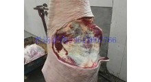 供应蒙古马肉马前腿马后腿图3