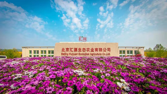 1552619659742641.png 3.png