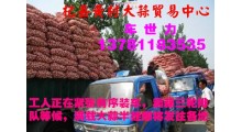 常年供应杞县印尼蒜、扒米蒜及脱水蒜图1