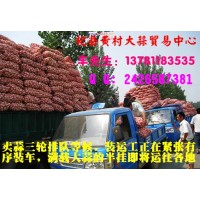 供应杞县蒜米料，质优价廉---杞县黄村大蒜贸易中心