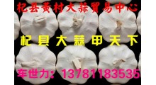 供应杞县蒜米料，质优价廉---杞县黄村大蒜贸易中心图2