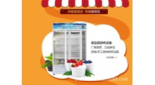 双开门酸奶机多功能商用酸奶机图3