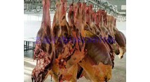 批量现货进口蒙古马肉天然草原放养活马屠宰新鲜冻马肉图1