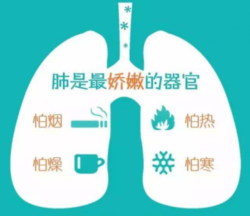 不骗人,广东壹健康教你几招润肺养肺